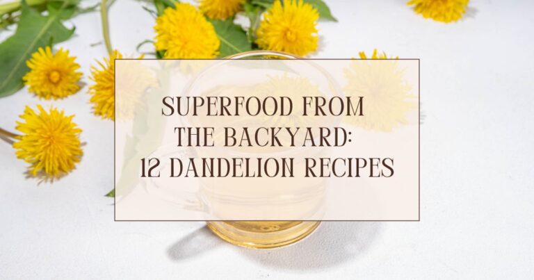 Superfood from the Backyard: 12 Dandelion Recipes
