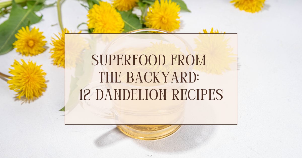 Superfood from the Backyard: 12 Dandelion Recipes